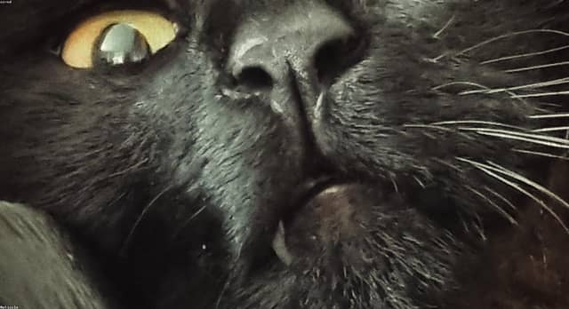 W77OtwX